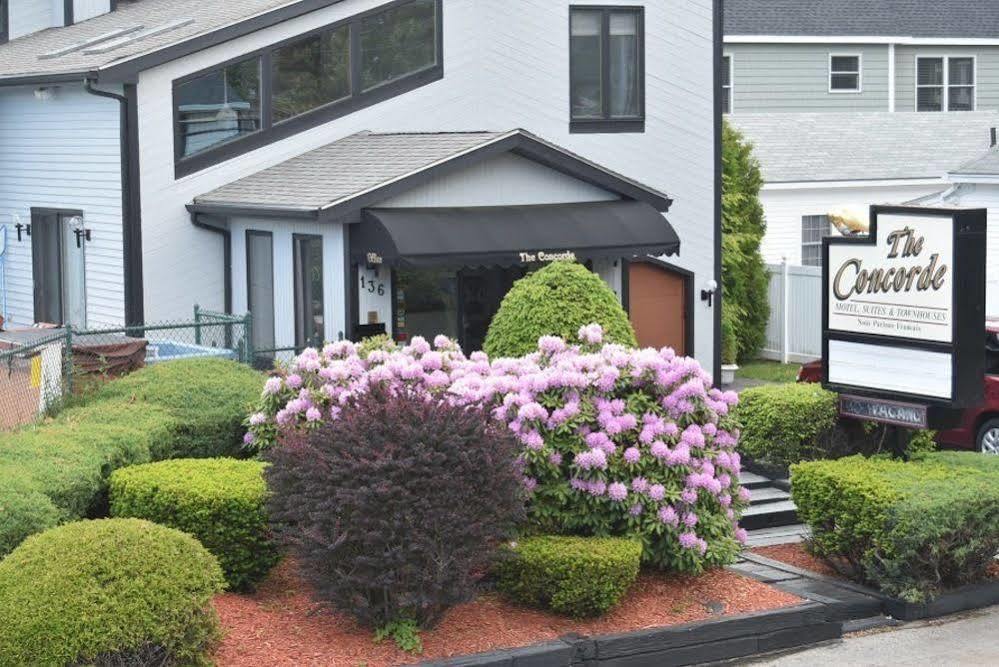 Concorde Motel Олд Орчард Бийч Екстериор снимка